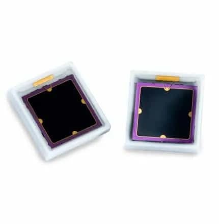 Photodiodes APD large surface - Image 1