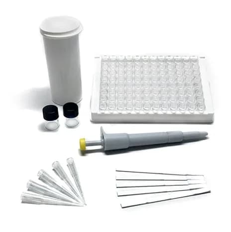 Bandelette de test AuroFlow Beta-Lactam
