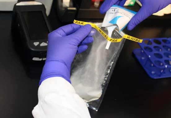 Bandelette de test mycotoxines - Image 3