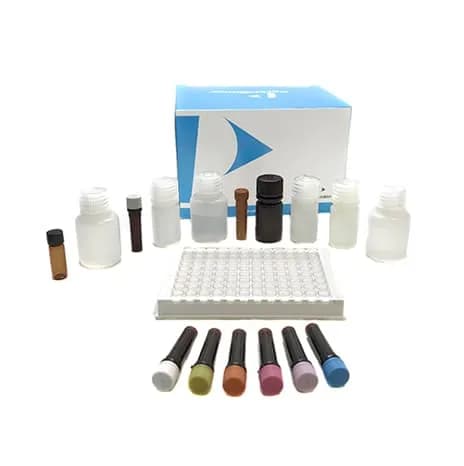 Kit de test Antibiotique Beta-Lactam - Image 1