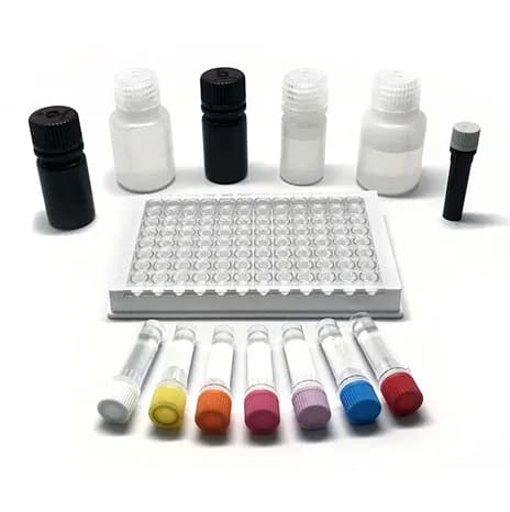 Kit de test ELISA Clenbuterol - Image 1