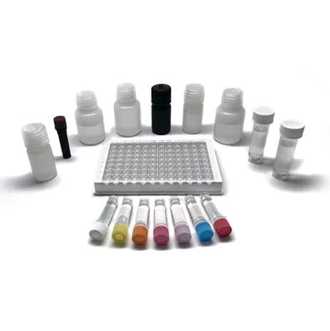 Kit de test ELISA Fluoroquinolone - Image 1