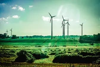 Fluxeur électrique TheOx - Image 2