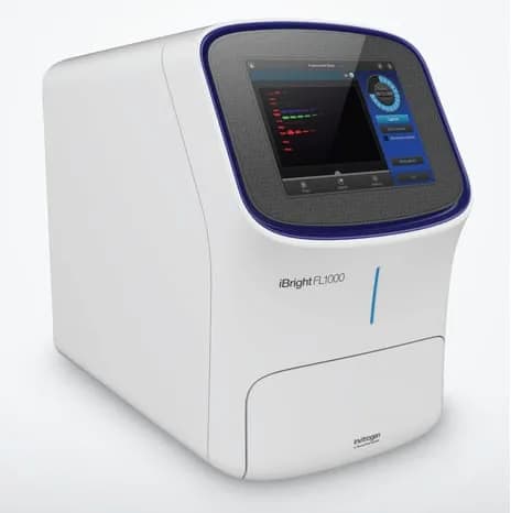 Systèmes d'imagerie Western Blot iBright